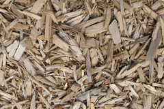 biomass boilers Barmpton